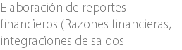 Elaboración de reportes financieros (Razones financieras, integraciones de saldos